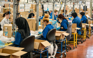 Sewing and garment making